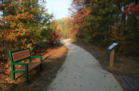 A Walk in the Park with Lunch